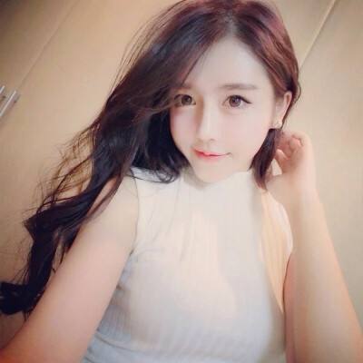 宠物精灵宝可梦满v手游下载